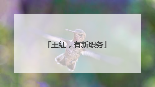 王红，有新职务