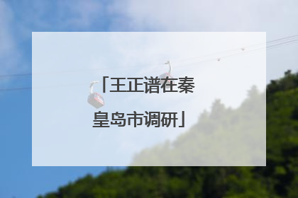 王正谱在秦皇岛市调研