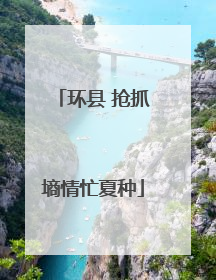 环县 抢抓墒情忙夏种