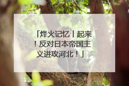 烽火记忆丨起来！反对日本帝国主义进攻河北！