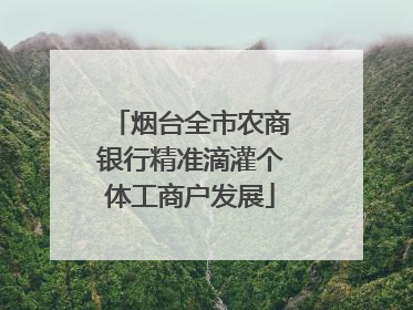 烟台全市农商银行精准滴灌个体工商户发展