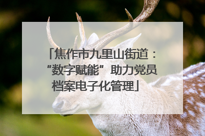 焦作市九里山街道：“数字赋能”助力党员档案电子化管理