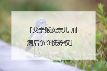 父亲贩卖亲儿 刑满后争夺抚养权