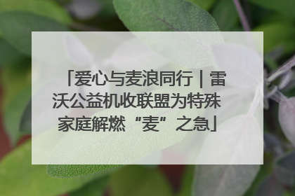 爱心与麦浪同行｜雷沃公益机收联盟为特殊家庭解燃“麦”之急