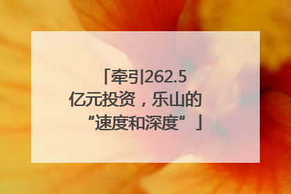 牵引262.5亿元投资，乐山的“速度和深度”