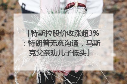 特斯拉股价收涨超3%：特朗普无意沟通，马斯克父亲劝儿子低头