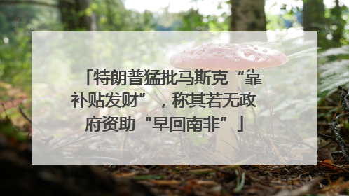 特朗普猛批马斯克“靠补贴发财”，称其若无政府资助“早回南非”