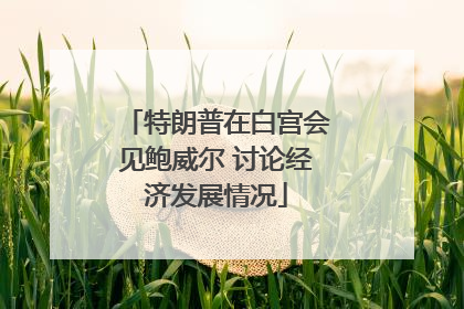 特朗普在白宫会见鲍威尔 讨论经济发展情况