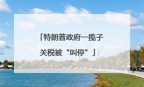 特朗普政府一揽子关税被“叫停”