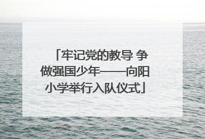 牢记党的教导 争做强国少年——向阳小学举行入队仪式