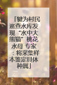 犍为村民巡查水库发现“水中大熊猫”桃花水母 专家：将采集样本鉴定具体种属
