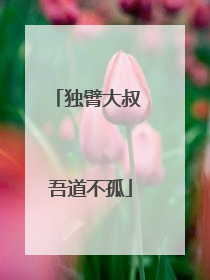 独臂大叔 吾道不孤