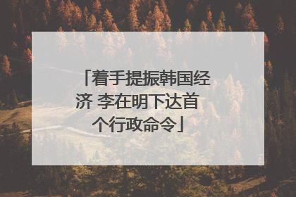 着手提振韩国经济 李在明下达首个行政命令