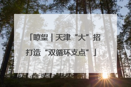 瞭望｜天津“大”招打造“双循环支点”