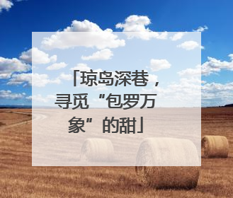 琼岛深巷，寻觅“包罗万象”的甜