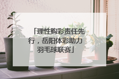 理性购彩责任先行，岳阳体彩助力羽毛球联赛