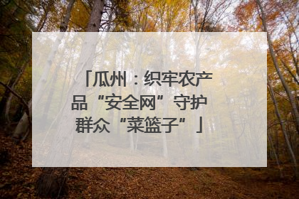 瓜州：织牢农产品“安全网”守护群众“菜篮子”