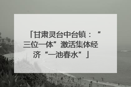 甘肃灵台中台镇：“三位一体”激活集体经济“一池春水”