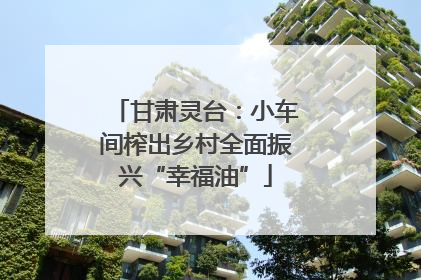 甘肃灵台：小车间榨出乡村全面振兴“幸福油”