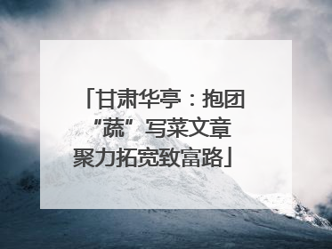 甘肃华亭：抱团“蔬”写菜文章 聚力拓宽致富路