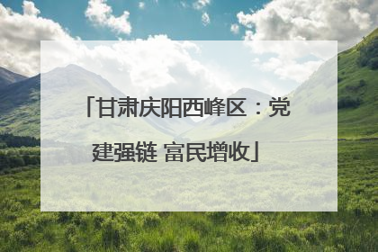 甘肃庆阳西峰区：党建强链 富民增收