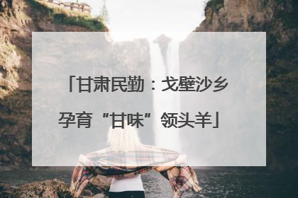 甘肃民勤：戈壁沙乡孕育“甘味”领头羊