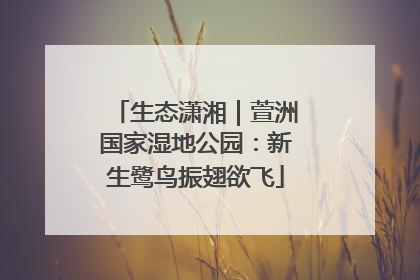 生态潇湘｜萱洲国家湿地公园：新生鹭鸟振翅欲飞