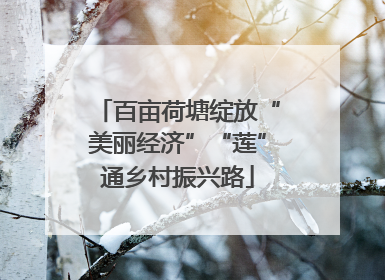 百亩荷塘绽放“美丽经济”“莲”通乡村振兴路