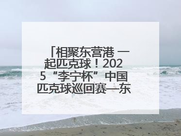 相聚东营港 一起匹克球！2025“李宁杯”中国匹克球巡回赛—东营站（CPC—1000）暨“好运山东”黄河口匹克球公开赛落幕