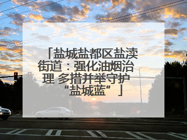 盐城盐都区盐渎街道：强化油烟治理 多措并举守护“盐城蓝”