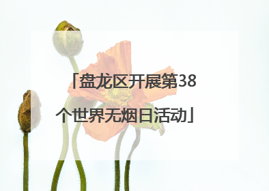 盘龙区开展第38个世界无烟日活动