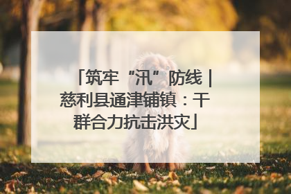 筑牢“汛”防线｜慈利县通津铺镇：干群合力抗击洪灾
