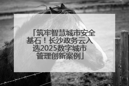 筑牢智慧城市安全基石！长沙政务云入选2025数字城市管理创新案例
