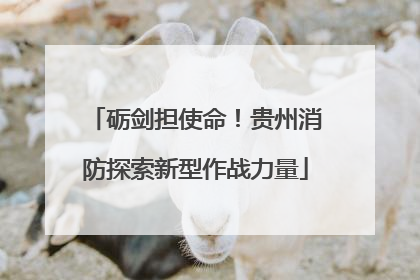 砺剑担使命！贵州消防探索新型作战力量