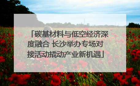 碳基材料与低空经济深度融合 长沙举办专场对接活动撬动产业新机遇