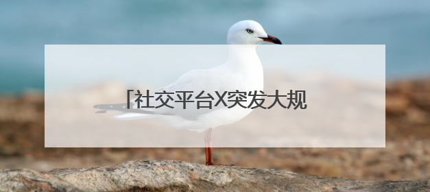 社交平台X突发大规模宕机，马斯克回应