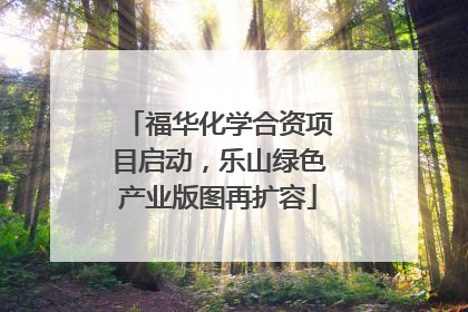 福华化学合资项目启动，乐山绿色产业版图再扩容