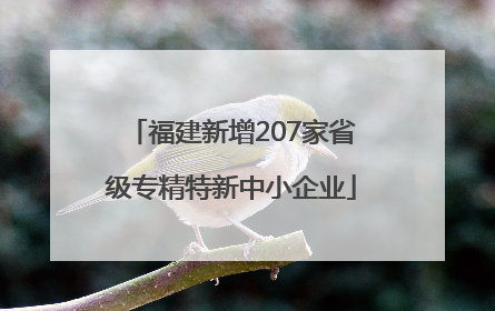 福建新增207家省级专精特新中小企业
