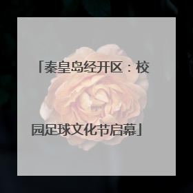 秦皇岛经开区：校园足球文化节启幕