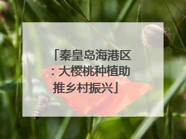 秦皇岛海港区：大樱桃种植助推乡村振兴