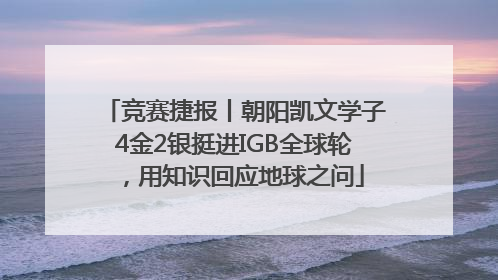 竞赛捷报丨朝阳凯文学子4金2银挺进IGB全球轮，用知识回应地球之问