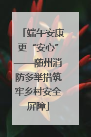 端午安康更“安心”——随州消防多举措筑牢乡村安全屏障