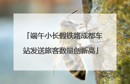端午小长假铁路成都车站发送旅客数量创新高