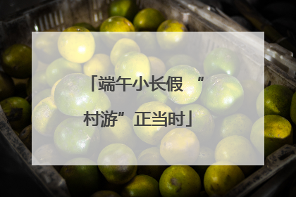 端午小长假 “村游”正当时