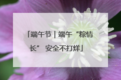 端午节｜端午“粽情长” 安全不打烊