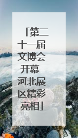 第二十一届文博会开幕 河北展区精彩亮相