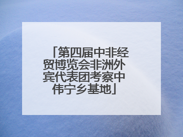 第四届中非经贸博览会非洲外宾代表团考察中伟宁乡基地