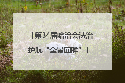 第34届哈洽会法治护航“全景回眸”