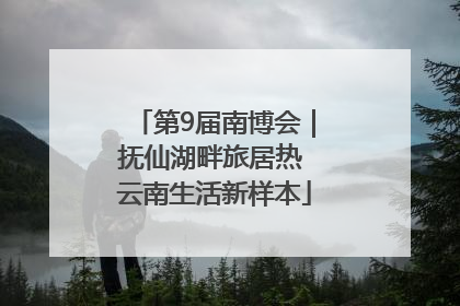 第9届南博会｜抚仙湖畔旅居热 云南生活新样本