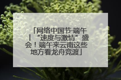 网络中国节·端午丨“速度与激情”盛会！端午来云南这些地方看龙舟竞渡
